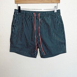 South Beach Blue/Green Teal Striped Lined Swim Trunks New